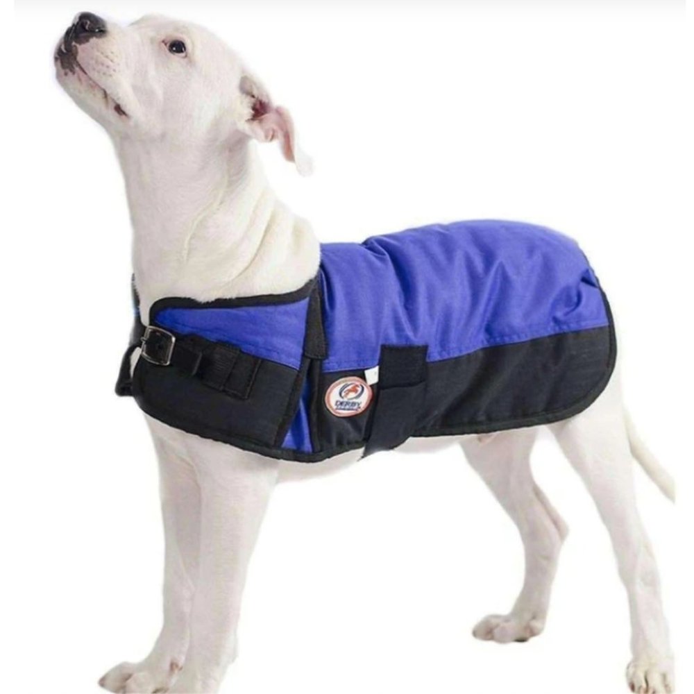 NWT Waterproof Dog Blanket